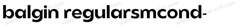 balgin regularsmcond字体转换